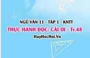 Soạn bài Thực hành đọc: Cải ơi trang 48 Ngữ văn lớp 11 Kết nối tri thức tập 1